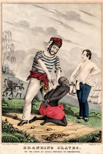 19th century print of slavers branding slaves in Africa before loading them onto slave ships.