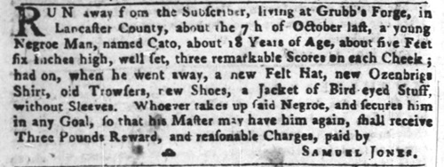 1766 advertisement to capture escaped slave Cato, who ran away from Hopewell Forge.