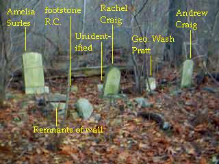 View of entire plot, with graves identified.