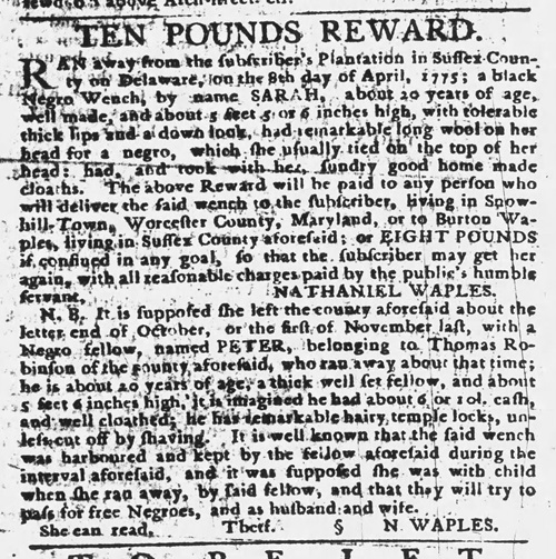Fugitive slave notice to recover Sarah and Peter, who have formed a family and escaped in November 1776.